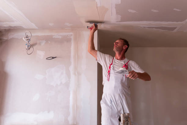 Best Drywall Sanding and Smoothing  in Lockeford, CA